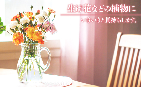 T25-1101／【12回定期便】飲む垂水温泉水　潤命　(500ml×30本）