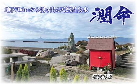 T25-1101／【12回定期便】飲む垂水温泉水　潤命　(500ml×30本）