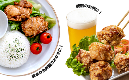 B2-2139／国産 から揚げ　ガーリック味　10袋