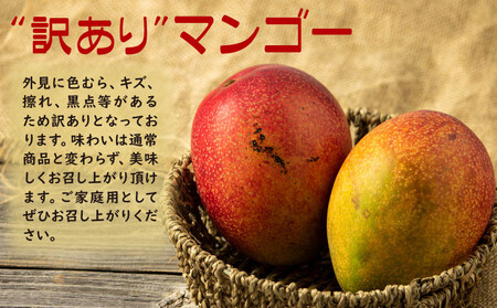 B2-22137/【訳あり品】鹿児島産 温泉マンゴー 2kg 期間限定 【2026年夏発送】
