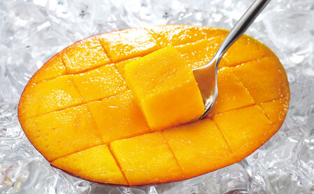 B2-22137/【訳あり品】鹿児島産 温泉マンゴー 2kg 期間限定 【2026年夏発送】