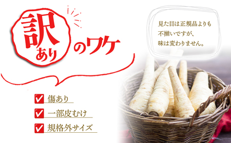 W-5701/【訳あり】パースニップ 1kg