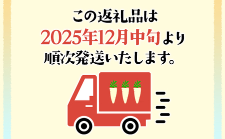 W-5701/【訳あり】パースニップ 1kg