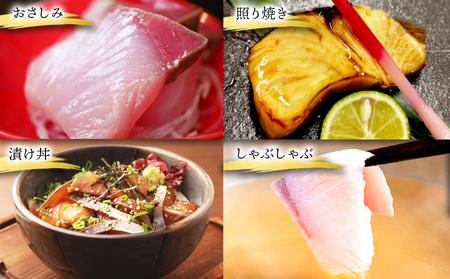 B2-0118／垂水カンパチ『海の桜勘』 皮無しロイン　1.4kg以上