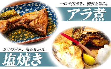 A1-0130/垂水カンパチ『海の桜勘』 カマ 8個(計1.6kg以上)