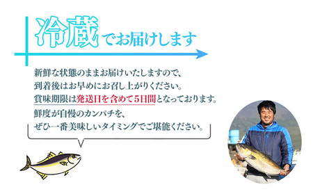 D4-2602／丸ごと 極上カンパチ (4kg保証) 1尾