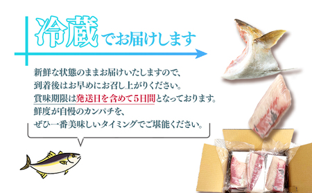 E5-2601／極上カンパチ (捌き前4kg保証) 1尾分 / カット処理済