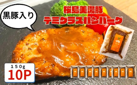 A1-0443／鹿児島県産 桜島美湯豚　デミグラスソース ハンバーグ 150g×10個 11,520円