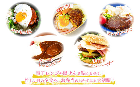 A1-0436／鹿児島県産 桜島美湯豚　デミグラスソース ハンバーグ 150g×8個