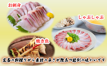 C3-8001／【予約販売 12月中旬以降順次発送】鹿児島県産 ぶり まるごと1尾 6kg以上（内臓処理なし）