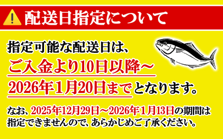 B2-8002／【予約販売 12月中旬以降順次発送】鹿児島県産 ぶり まるごと1尾 4kg以上 (内臓処理なし）