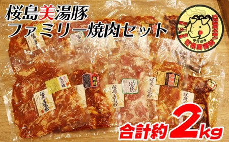 B2-4506／桜島美湯豚　ファミリー焼肉セット