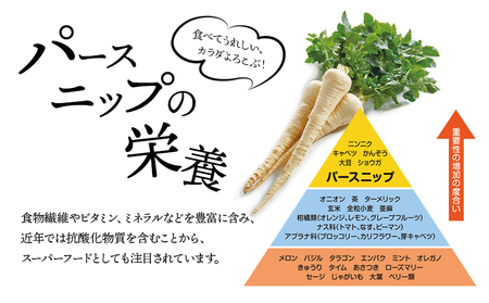 W-5703　パースニップチップス (25g×3袋)