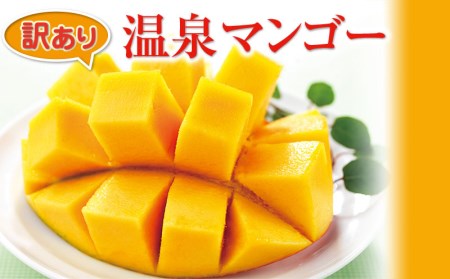 W-2234/訳あり マンゴー 温泉マンゴー 1kg 【2021年夏発送】