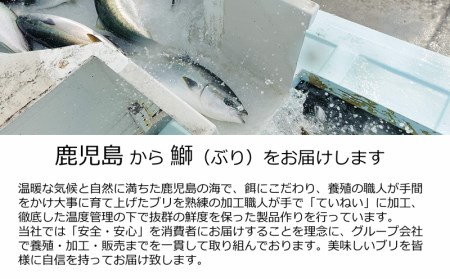 A1-47112／【鹿児島産ぶり冷凍】ぶりカマ４ｐ（１個入/ｐ、２００ｇ）