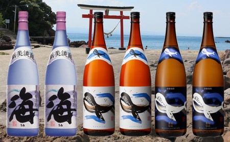 F6-2536／大海酒造 海シリーズ 1800ml×6本セット