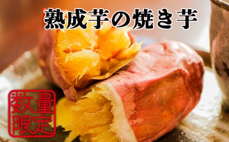 B2-1903/つらさげの里からの贈り物 ~熟成焼き芋~(8パック)
