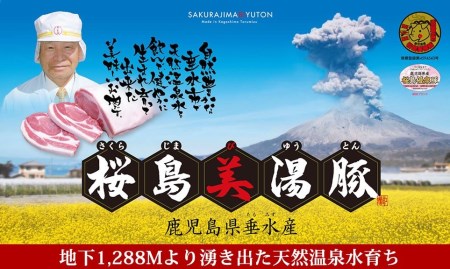 E5-3007／桜島美湯豚 肩ロース肉 ブロック2本（約2kg×2）