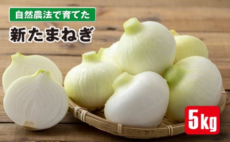 W-2249/【予約販売】自然農法で育てた 新たまねぎ 5kg