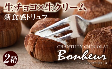 W-2259/生チョコトリュフ ! シャンティショコラボヌール 9個入×2箱