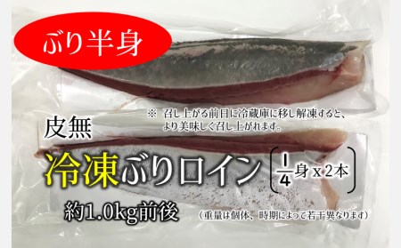 A1 4738 刺身用ぶり柵2本 冷凍 皮無 鹿児島県垂水市 ふるさと納税サイト ふるなび