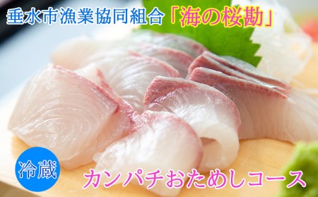 A1-0104/「海の桜勘」おためしコース