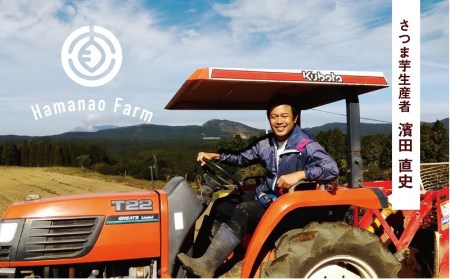 A1-5416/焼き芋アイス 紅はるか(6カップ)