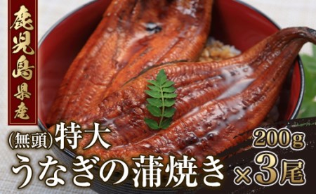 鹿児島県産 特大 うなぎ 蒲焼き 600g