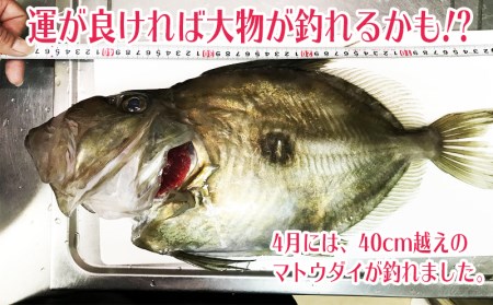 T21-2402／鹿児島の海で釣りして食べて泊まる思い出プラン（3名様）