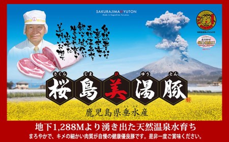 F6-3006／【黒豚】桜島美湯豚肩ロース肉（2本）