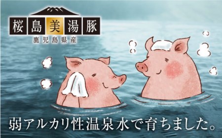 F6-3006／【黒豚】桜島美湯豚肩ロース肉（2本）