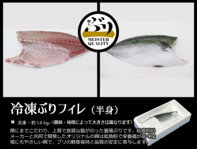 B2-4774／【鹿児島産ぶり】冷凍・ぶりフィレ（半身1枚）