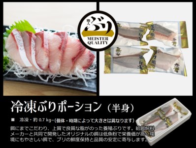 B2-4778/【鹿児島産ぶり】冷凍・ぶり皮無ポーション(背腹計4p)