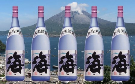 E5-25119／大海酒造　海　1800ml  5本セット