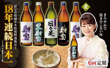 G7-2231／【 定期便 】 6回 届け・ 焼酎 4種5本 飲み比べセット 【5合瓶（麦）】 温泉水仕立て！ 財宝