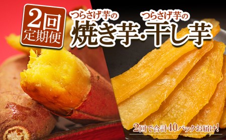 J12-1904／【先行予約限定・定期便】つらさげ芋の焼き芋・干し芋 計40