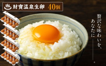 A1 2299 温泉水とこだわりのエサで育てた鶏のおいしい卵 鹿児島県垂水市 ふるさと納税サイト ふるなび