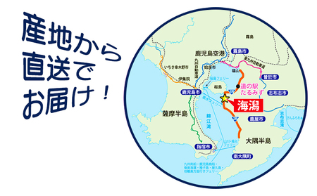 A1-0121／カンパチ頭煮付け　びんた煮　８個（冷凍あら煮）