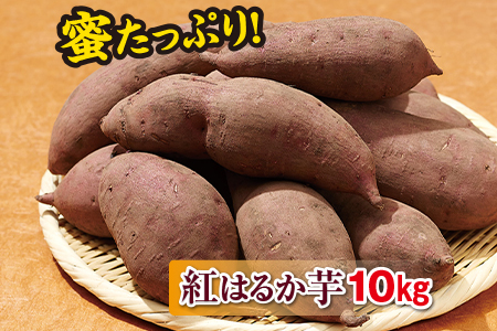 A1-22143/【先行予約】蜜たっぷり!紅はるか芋10kg