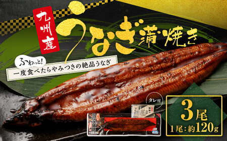 九州産うなぎ蒲焼き 3尾 合計約360g(約120g×3尾) タレ付 BS-126
