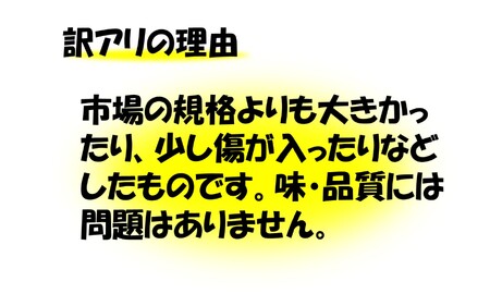 AS-449 【訳アリ】ママたちの思いをギュッ！鹿児島県産 10㎏ 訳あり：大きいサイズ・規格外品　