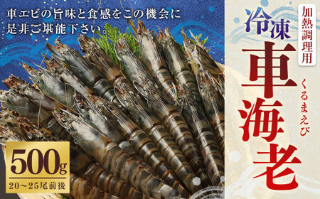 ZS-951 冷凍車エビ(約500g)  (加熱調理用) 海老 車海老 9,750円
