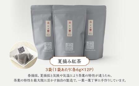 AS-743 夏摘み紅茶3袋セット(ティーポット用ティーバックタイプ) 夏摘み紅茶 3袋 崎原製茶