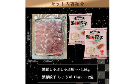 AS-861 鹿児島県産黒豚 餃子鍋にピッタリなセット(しょうが)  合計約2kg
