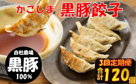 BS-820 【3回定期便】かごしま黒豚餃子 合計120個