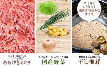 JS-110 【12回定期便】かごしま黒豚餃子 合計480個