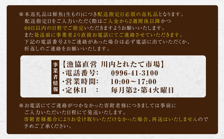 AS-537 【配送指定日必須】甑海峡 天然鮮魚詰め合わせセット