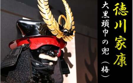 RS-801 徳川家康大黒頭巾の兜（梅）