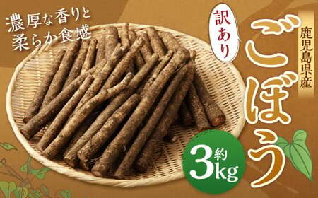 ZS-636 鹿児島県産 土付き ごぼう 約3kg【規格外・訳あり品】【2025年1月上旬～3月下旬発送予定】