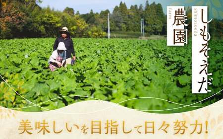 ZS-636 鹿児島県産 土付き ごぼう 約3kg【規格外・訳あり品】【2025年1月上旬～3月下旬発送予定】